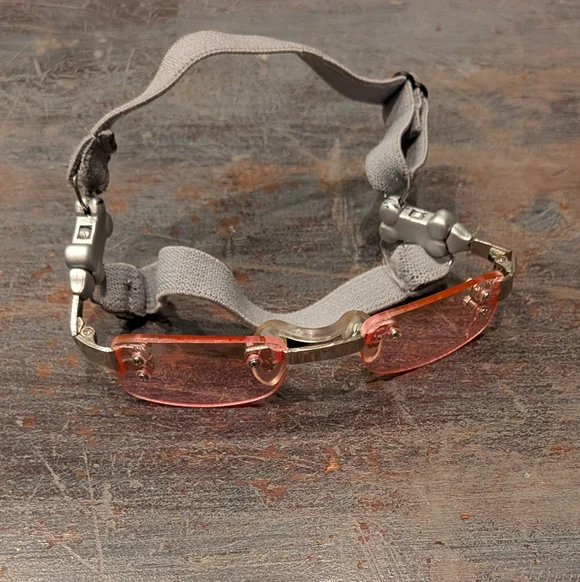 K9 Optix (girl dog) - Picture 2 of 8